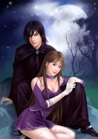 盛寵太子妃