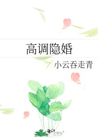 高调隐婚