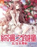 （BG/综漫同人）综漫之碰撞